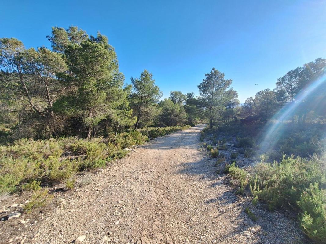 Terreno en venta en Biar, Alicante photo 5