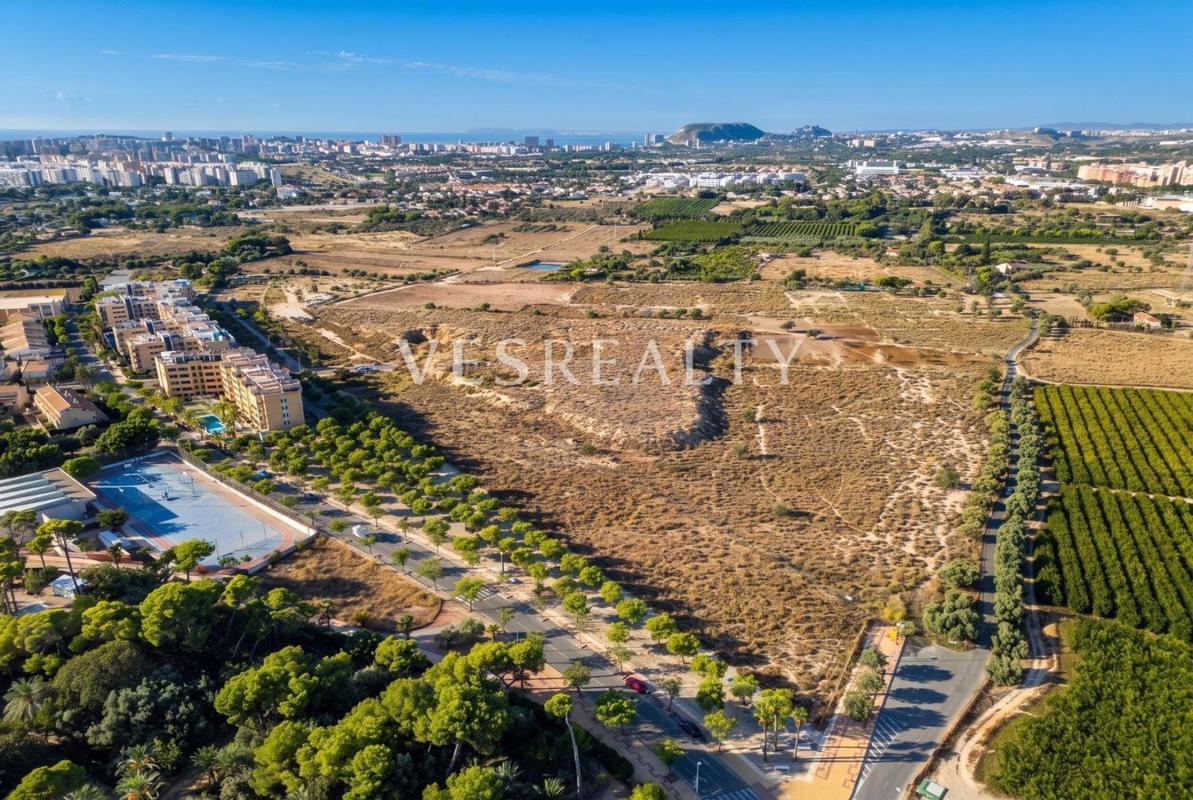 Działka na sprzedaż w El Campello, Alicante photo 3