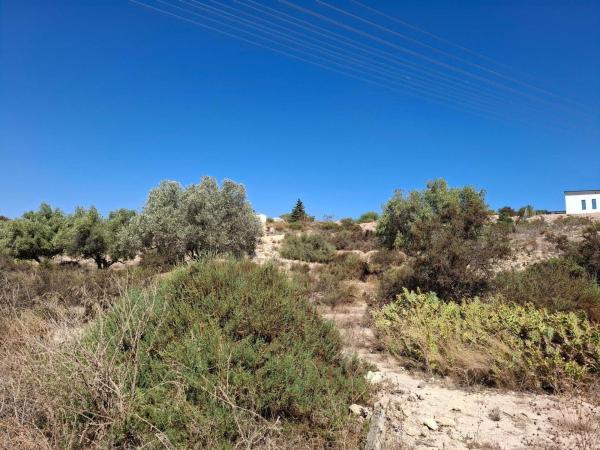 Terreno en Calle Alavega, Santa Faz, Alicante / Alacant photo 1