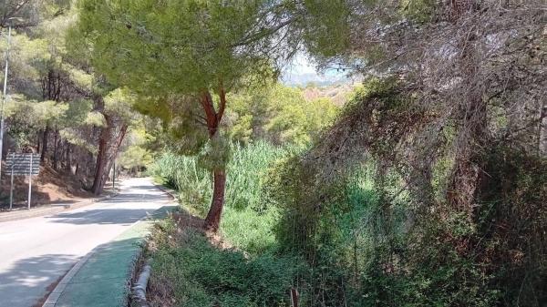 Terreno en Zona de Mascarat, Altea photo 2