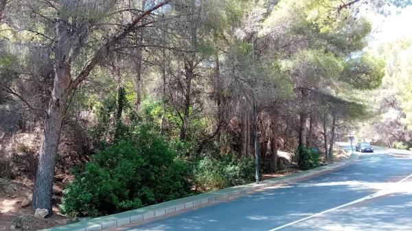 Terreno en Zona de Mascarat, Altea photo 3