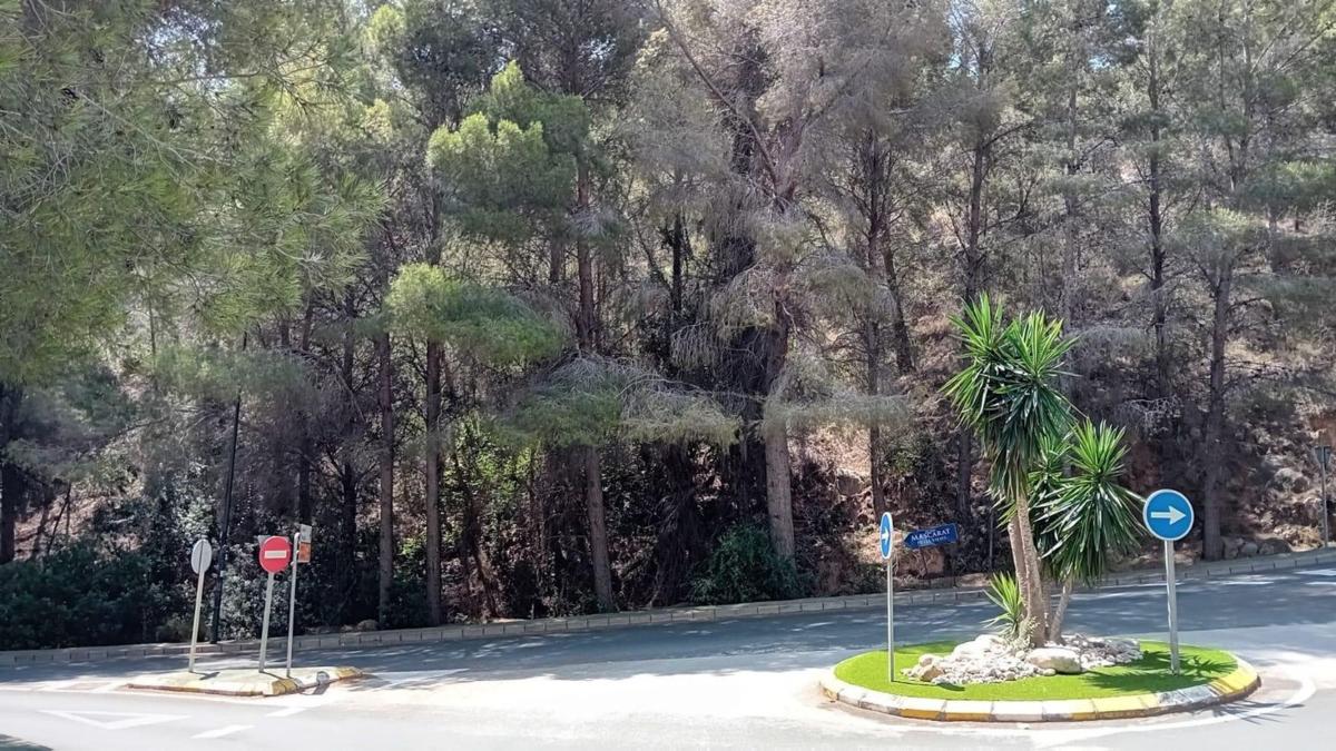 Działka na sprzedaż w Altea, Alicante photo 5