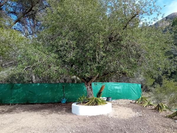 Terreno en partida Sogay s/n, Altea la Vella, Altea photo 1