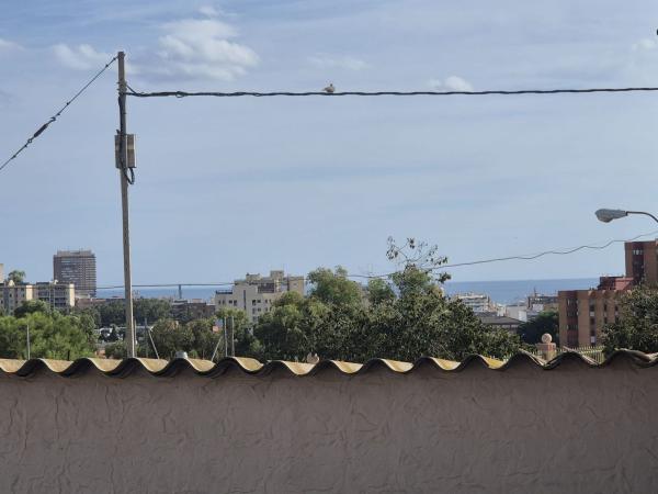 Terreno en Calle Ibi, San Agustín, Alicante / Alacant photo 4