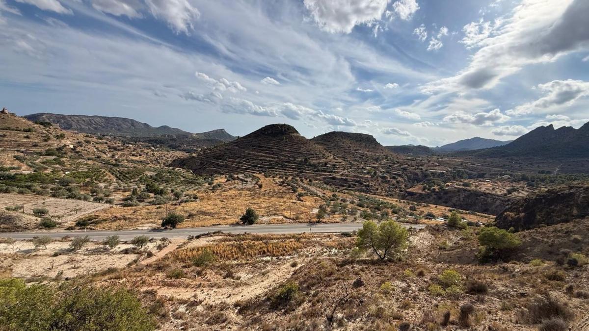 Land for sale in Relleu, Alicante photo 2