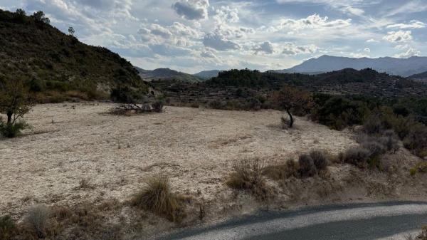 Terreno en Partida Foia Boalar, 1, Relleu photo 3
