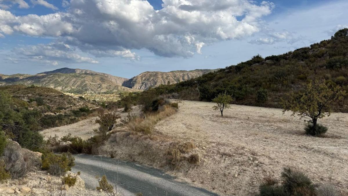 Działka na sprzedaż w Relleu, Alicante photo 4
