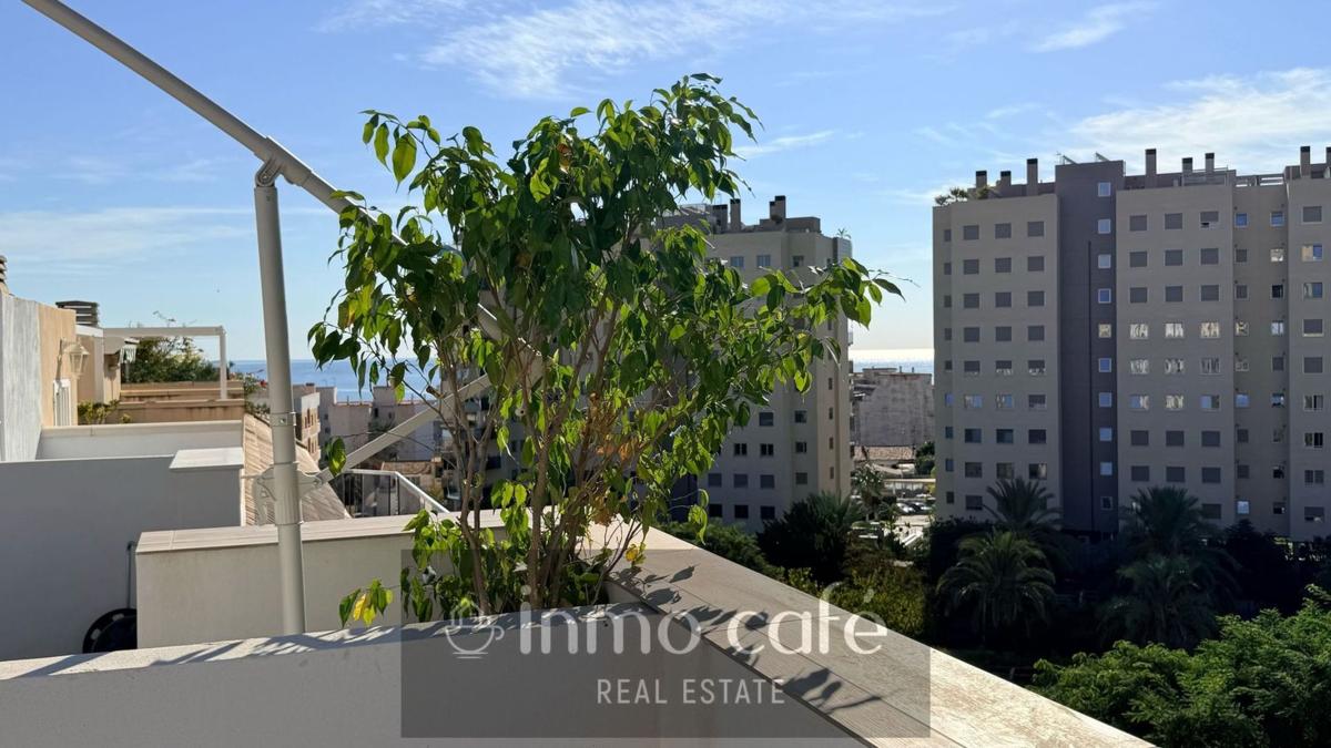Penthouse sale in Ático en Campello Playa, El Campello, El Campello photo 5