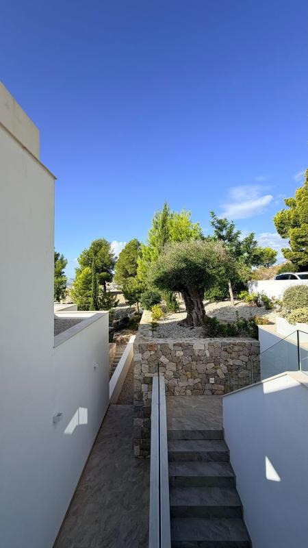 Properties for sale and rent in Spain photo 3