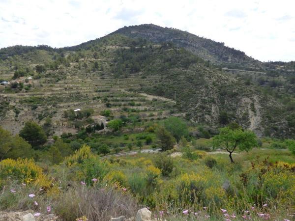 Terreno en Cv-778 s/n, Relleu photo 3