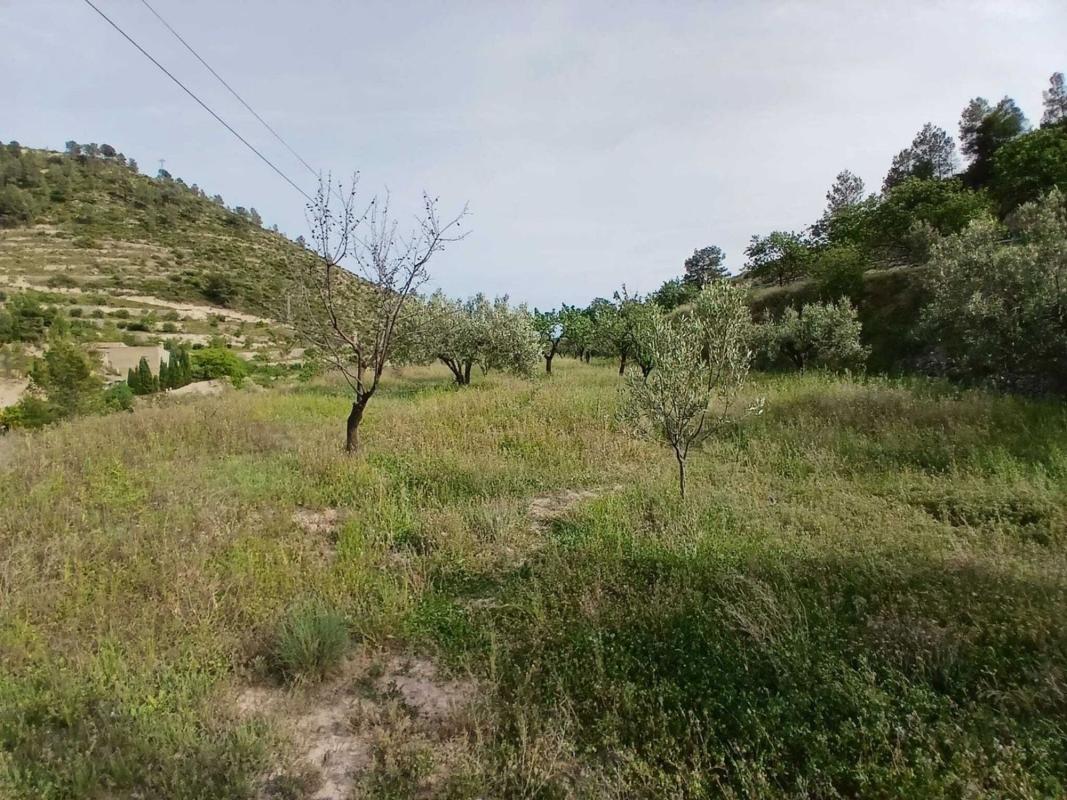 Działka na sprzedaż w Relleu, Alicante photo 5