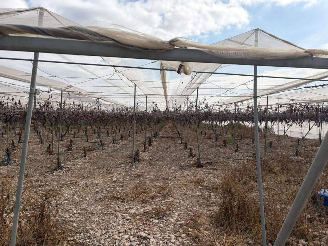 Terreno en venta en Agost, Alicante photo 1