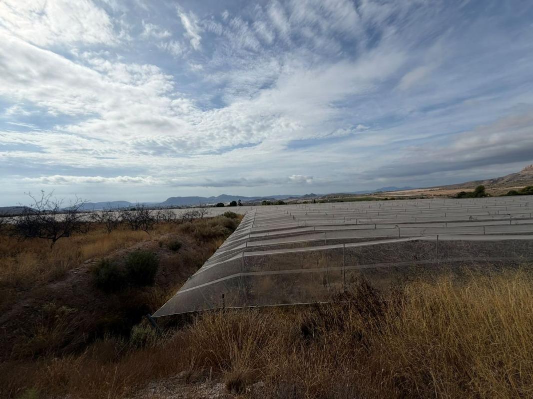 Terreno en venta en Agost, Alicante photo 3