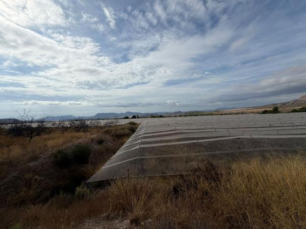 Terreno en Llano de la Rufa, 5 Poligonoparcela, Agost thumbnail 3