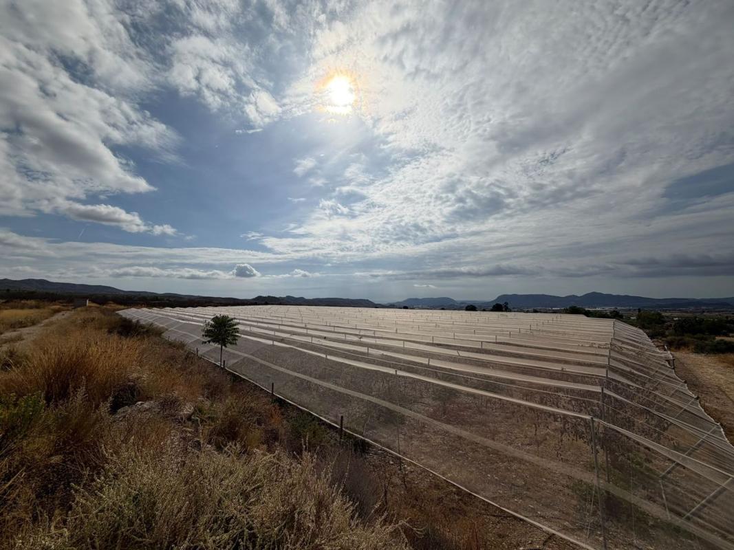 Terreno en venta en Agost, Alicante photo 4