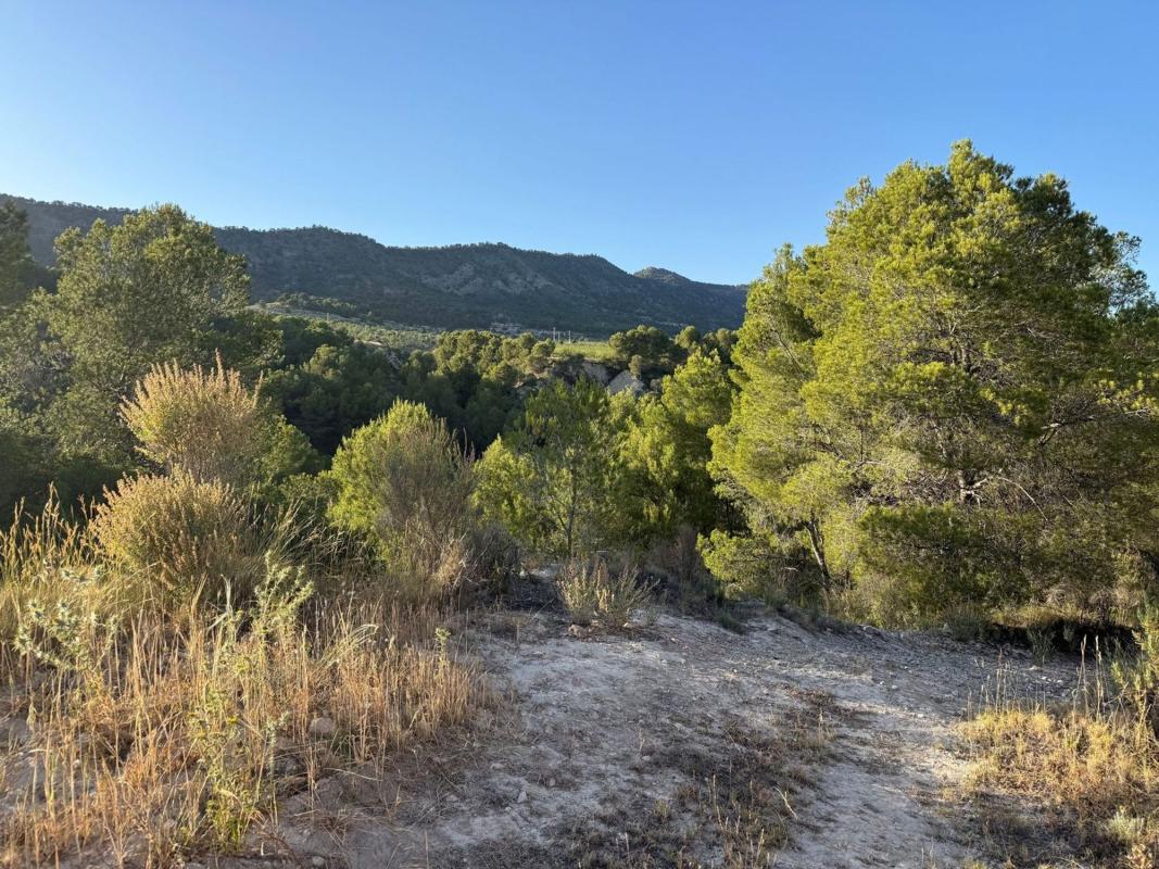 Terreno en venta en Jijona / Xixona, Alicante photo 5