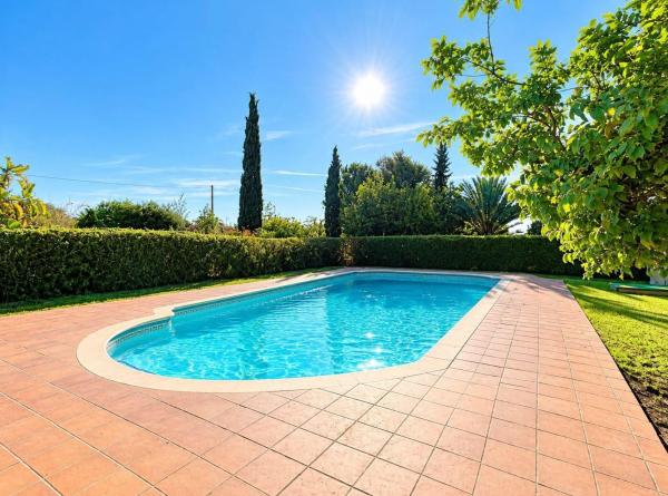 Casa o chalet independiente en Alzabares, Elche / Elx thumbnail 2