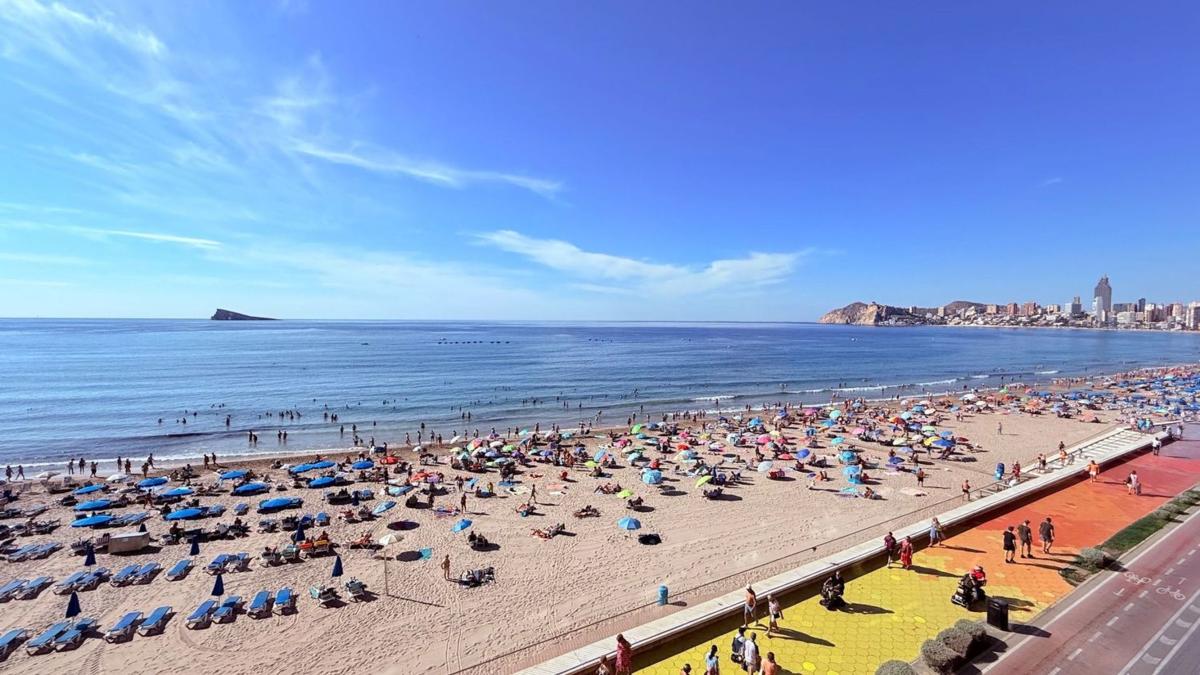 Продажа квартиры на Piso en Centro Urbano, Benidorm, Бенидорм
 photo 2