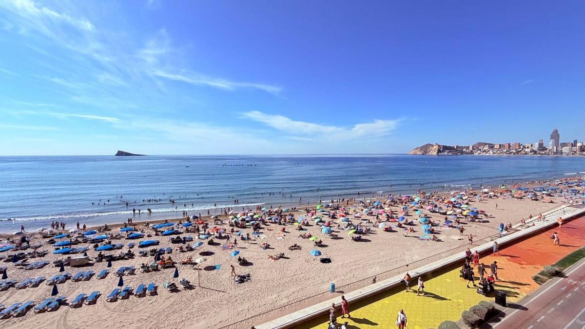 Продажа квартиры на Piso en Centro Urbano, Benidorm, Бенидорм
 photo 4