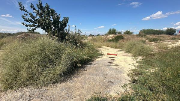 Terreno en Partida Acequia Palacio, Formentera del Segura thumbnail 2