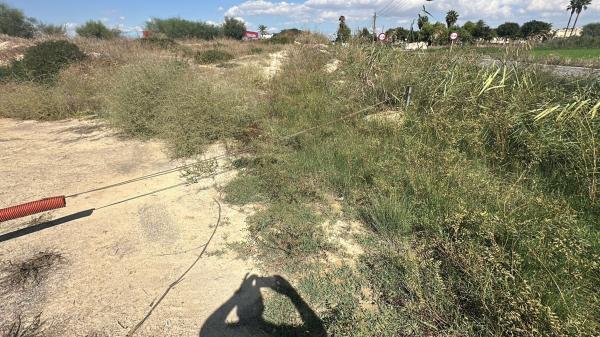Terreno en Partida Acequia Palacio, Formentera del Segura thumbnail 3