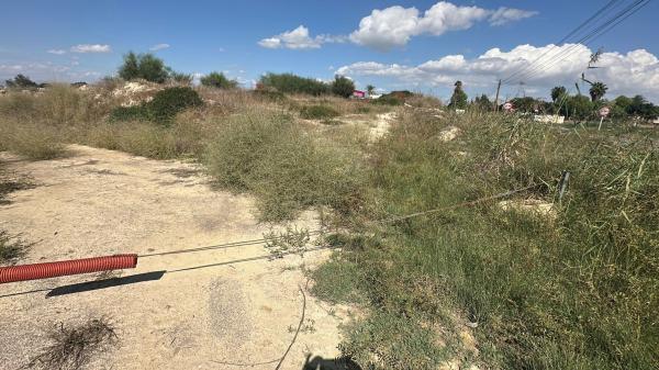 Terreno en Partida Acequia Palacio, Formentera del Segura photo 4
