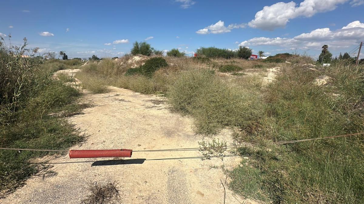Terreno en venta en Formentera del Segura, Alicante photo 5