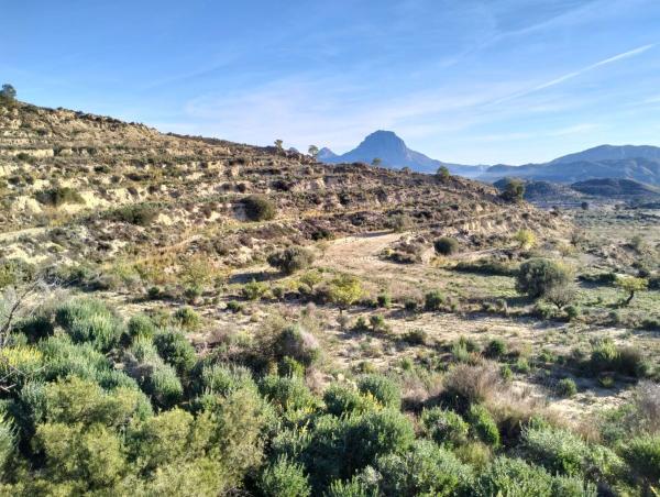 Terreno en Cv-775, Relleu photo 1
