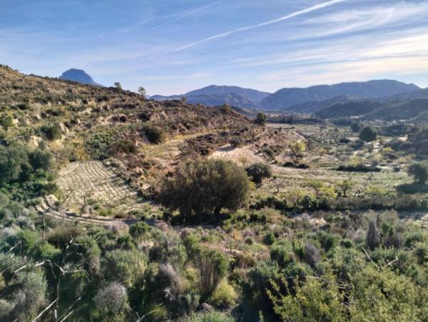 Terreno en Cv-775, Relleu photo 3