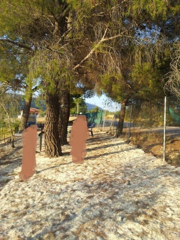 Venta de finca rústica en  Finca rústica en Camino de l'Arcada s/n, Onil , Onil photo 5