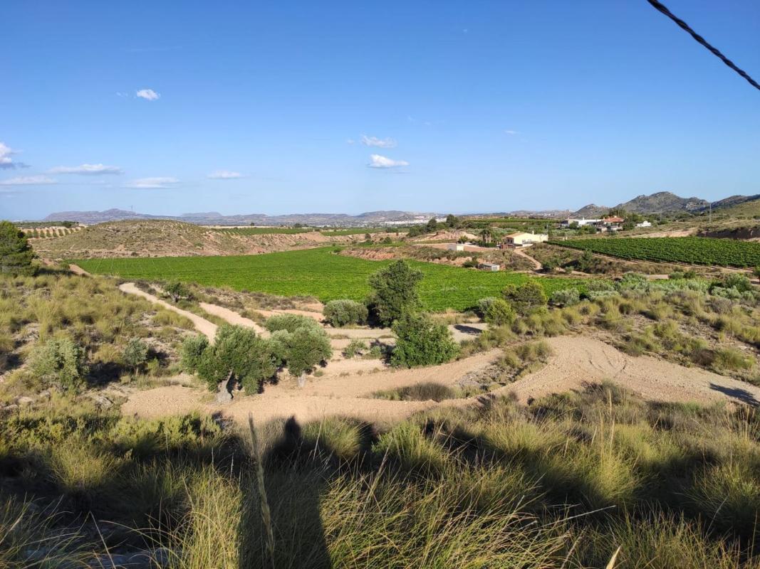 Terreno en venta en Novelda, Alicante photo 5