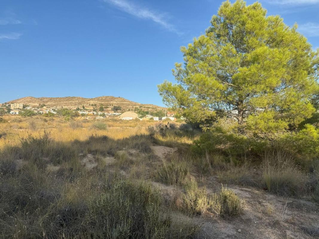 Terreno en venta en Busot, Alicante photo 5