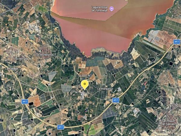 Terreno en Cv-940, km 4, Los Montesinos photo 2