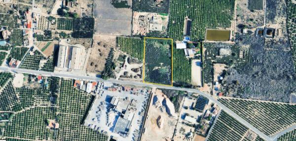 Terreno en Cv-940, km 4, Los Montesinos photo 3