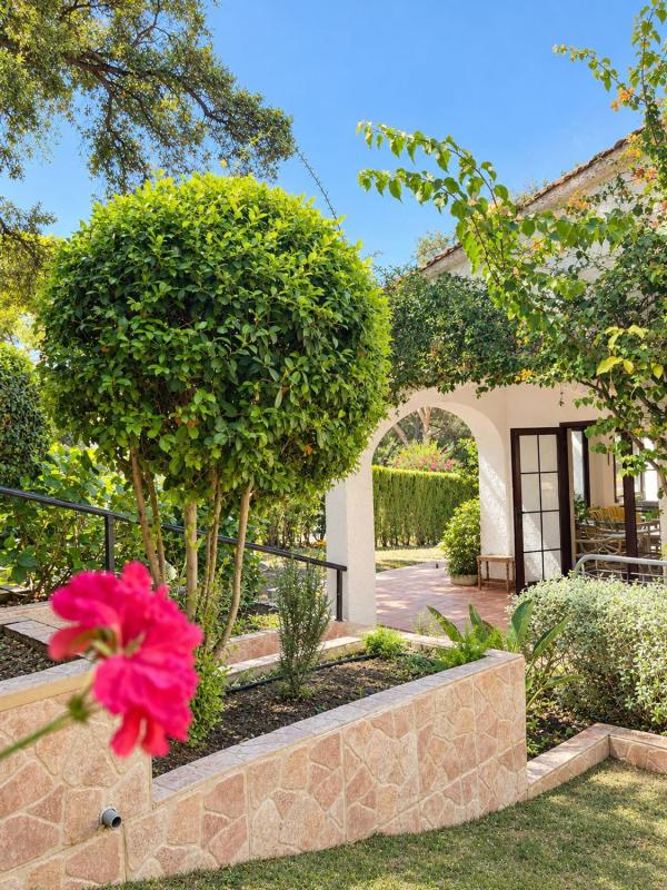 Propiedades en venta y alquiler en España photo 1