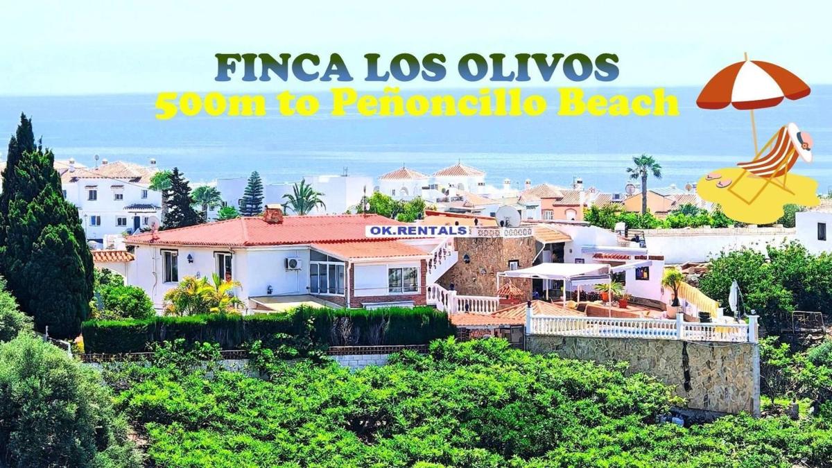 Propiedades en venta y alquiler en España photo 2