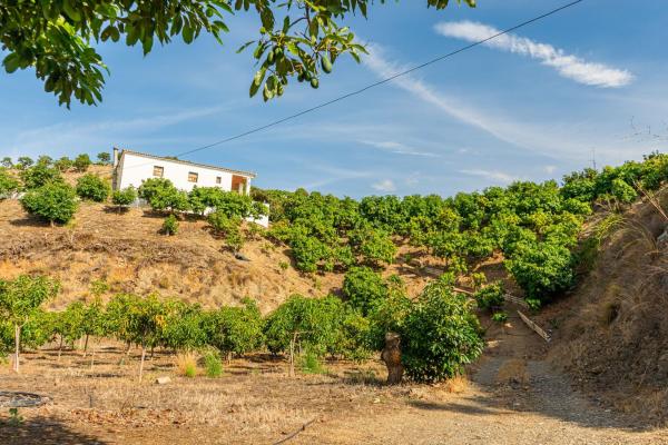 Casa rural en Carretera Benamargosa, 2, Norte - Barrio del Pilar - El Reñidero, Vélez-Malaga photo 1