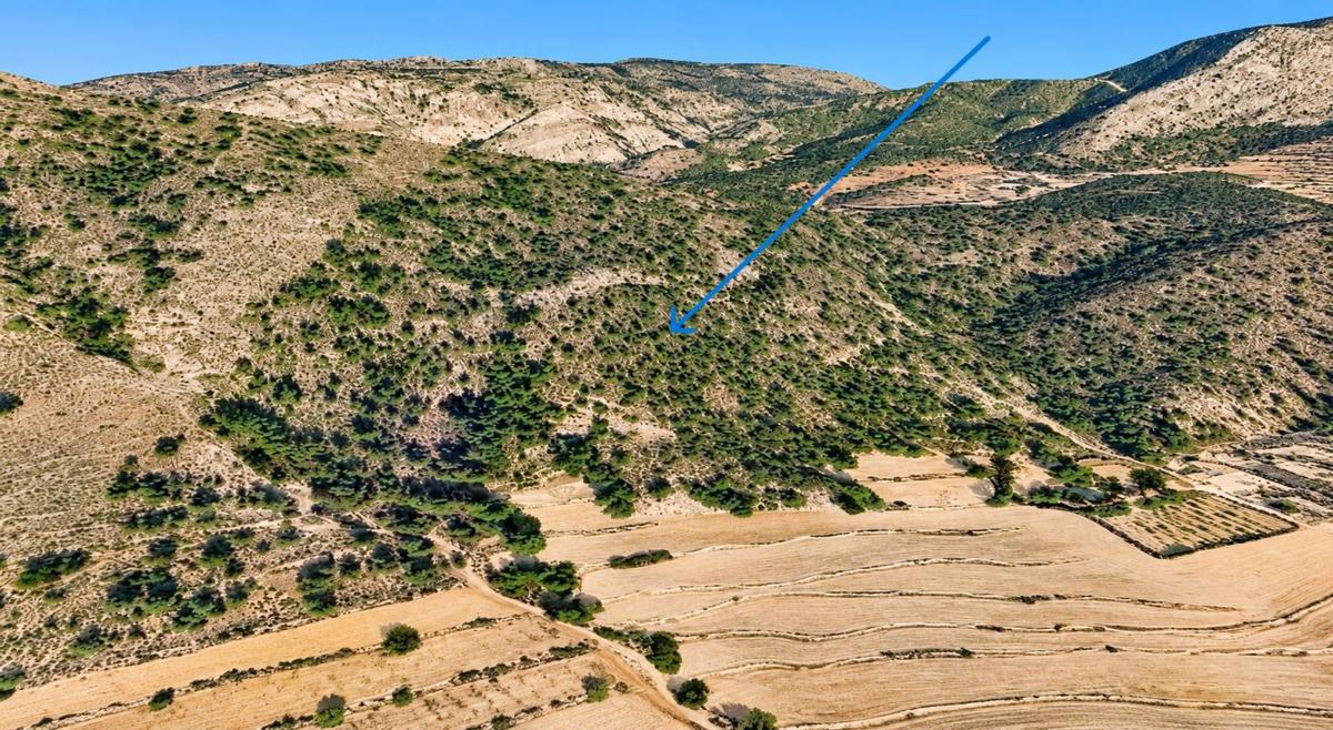 Terreno en venta en Petrer, Alicante photo 1