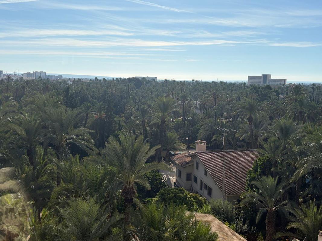 Продажа квартиры на Piso en Avenida en Joan Carles I, 59, Centro, Elche / Elx, Эльче / Эльх
 photo 4