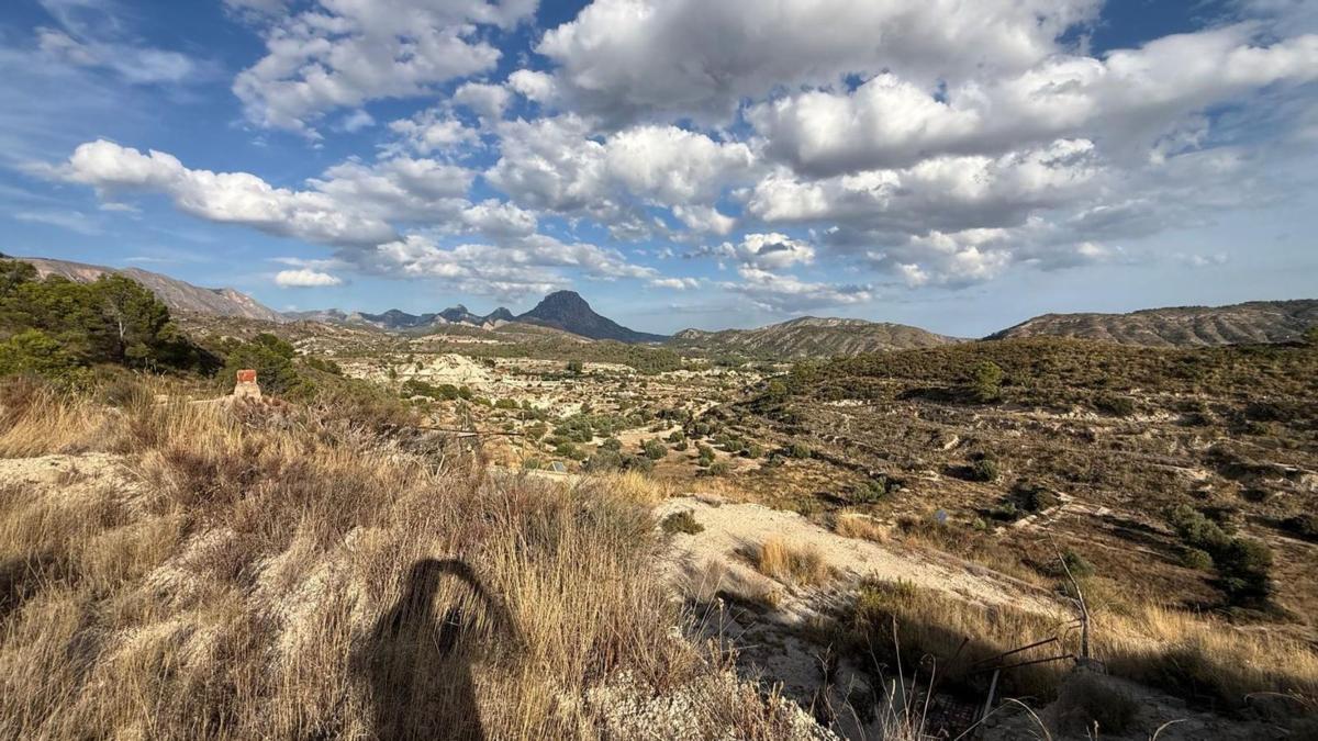 Venta de finca rústica en  Finca rústica en Partida Mediasa, Relleu , Relleu photo 3