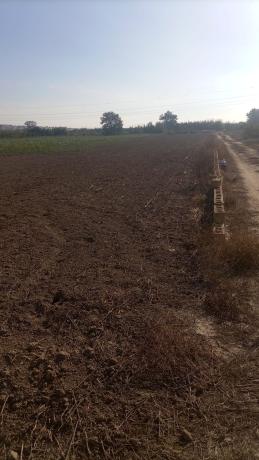 Terreno en polígono 8 parcela 70(tintorero) s/n, San Fulgencio photo 2