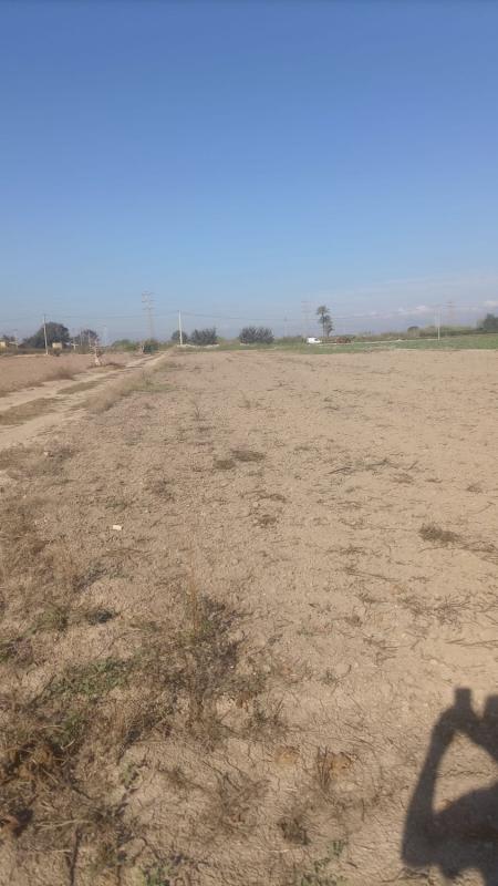 Terreno en venta en San Fulgencio, Alicante photo 3