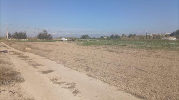 Terreno en polígono 8 parcela 70(tintorero) s/n, San Fulgencio photo 4
