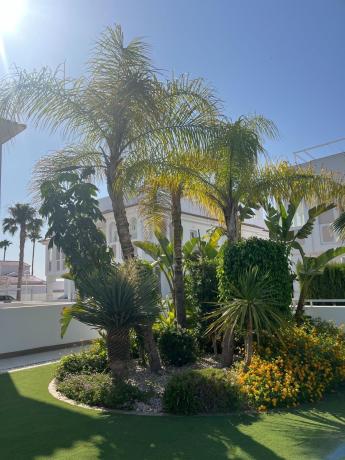 Venta de piso en Piso en Avenida de Málaga, Lo Marabú, Rojales, Rojales
thumbnail 2