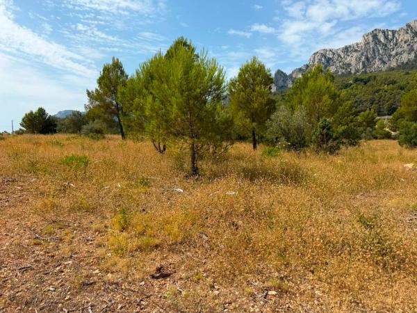 Terreno en Poligono, Benimantell photo 2