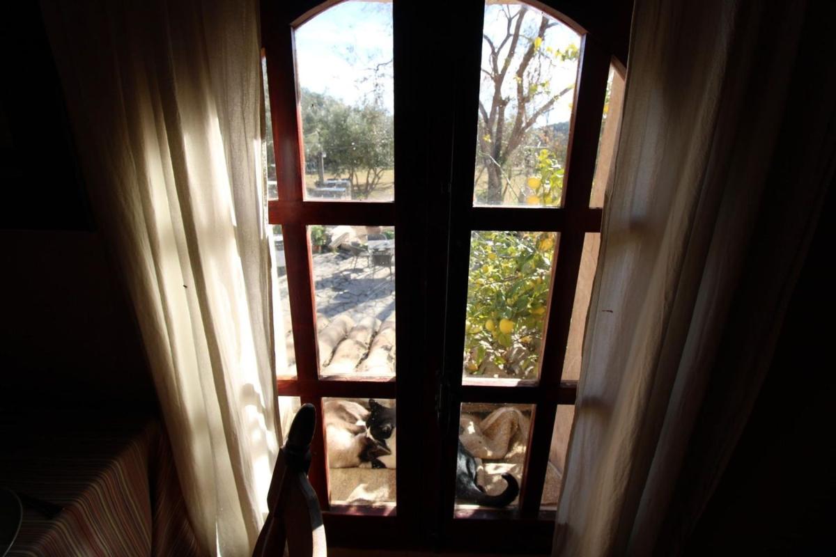 Properties for sale and rent in Spain photo 2