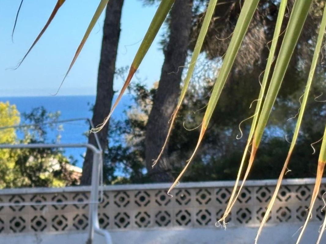 Properties for sale and rent in Spain photo 4
