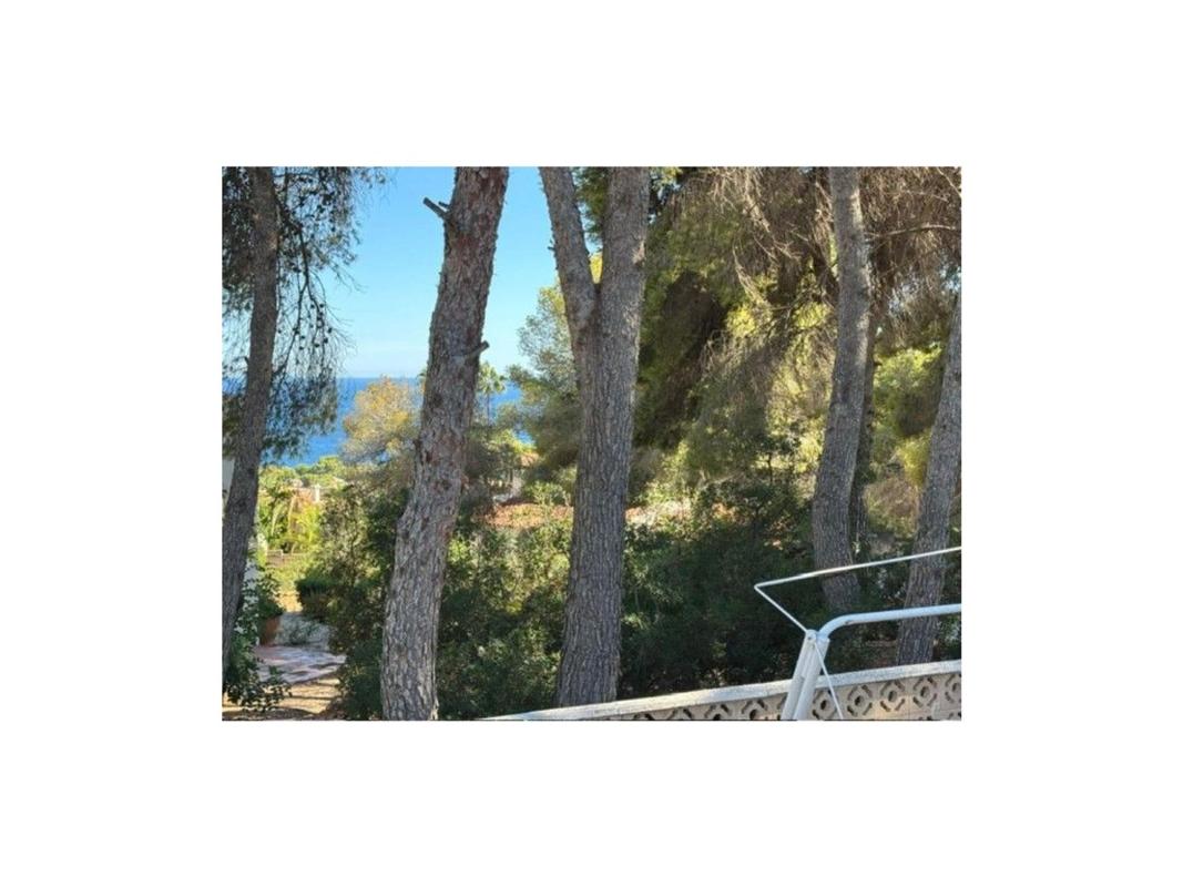 Properties for sale and rent in Spain photo 5