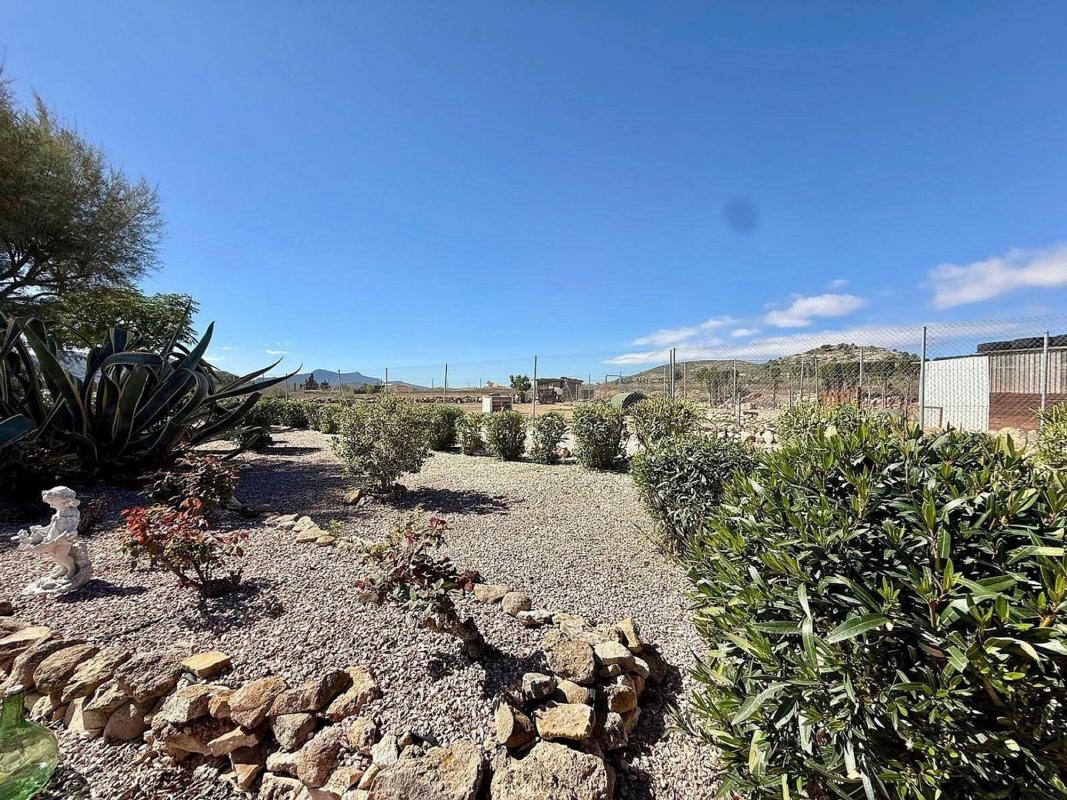 Venta de chalet independiente en Casa o chalet en Plaza Molino, Pinoso, Pinoso
photo 3