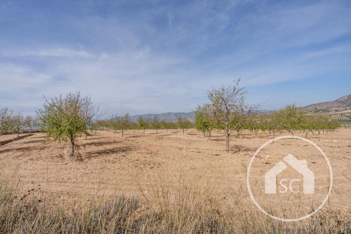 Land for sale in Elda, Alicante photo 1